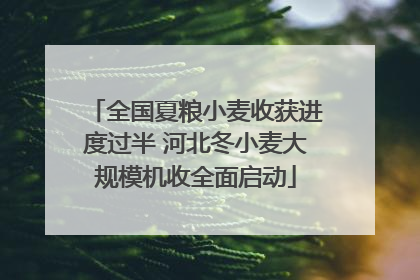 全国夏粮小麦收获进度过半 河北冬小麦大规模机收全面启动