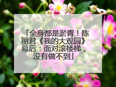 全身都是淤青！陈丽君《我的大观园》幕后：面对滚楼梯，没有做不到