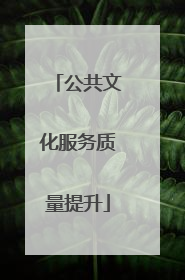公共文化服务质量提升