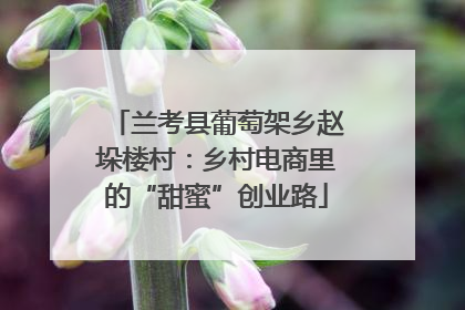 兰考县葡萄架乡赵垛楼村：乡村电商里的“甜蜜”创业路