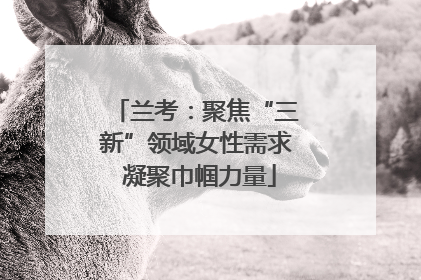 兰考：聚焦“三新”领域女性需求 凝聚巾帼力量