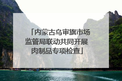 内蒙古乌审旗市场监管局联动共同开展肉制品专项检查