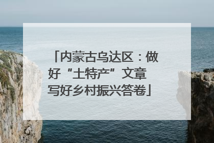 内蒙古乌达区：做好“土特产”文章 写好乡村振兴答卷