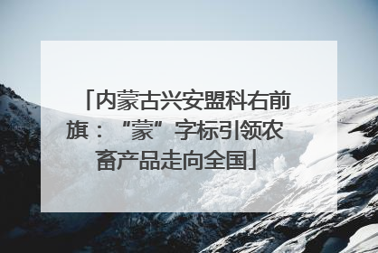 内蒙古兴安盟科右前旗：“蒙”字标引领农畜产品走向全国
