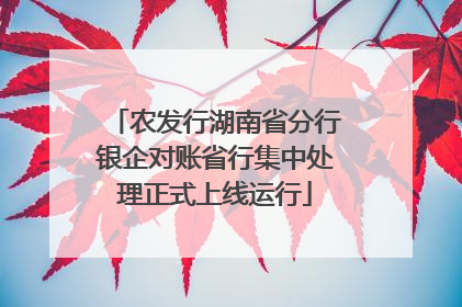 农发行湖南省分行银企对账省行集中处理正式上线运行