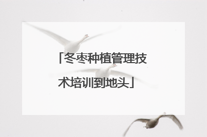 冬枣种植管理技术培训到地头