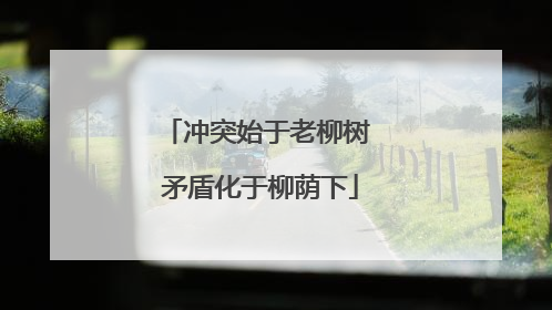 冲突始于老柳树 矛盾化于柳荫下