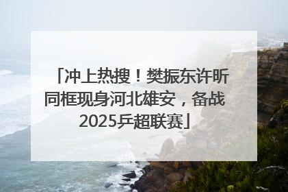冲上热搜！樊振东许昕同框现身河北雄安，备战2025乒超联赛