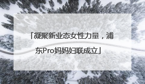 凝聚新业态女性力量，浦东Pro妈妈妇联成立