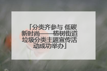 分类齐参与 低碳新时尚——椿树街道垃圾分类主题宣传活动成功举办