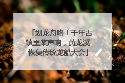 划龙舟咯！千年古镇里桨声响，黄龙溪恢复传统龙船大会
