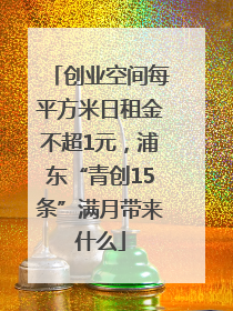 创业空间每平方米日租金不超1元，浦东“青创15条”满月带来什么