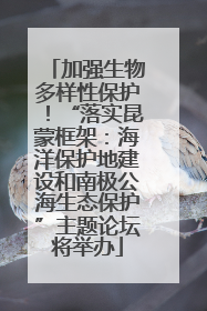加强生物多样性保护！“落实昆蒙框架：海洋保护地建设和南极公海生态保护”主题论坛将举办