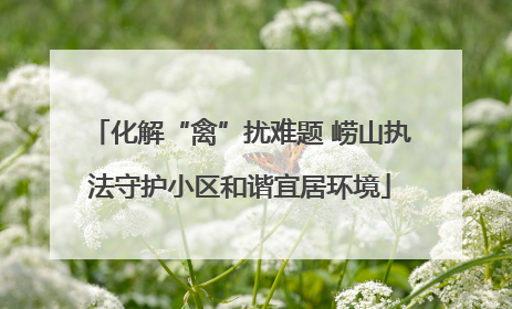 化解“禽”扰难题 崂山执法守护小区和谐宜居环境