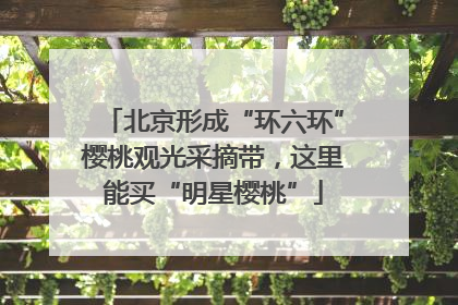 北京形成“环六环”樱桃观光采摘带，这里能买“明星樱桃”