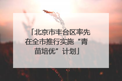 北京市丰台区率先在全市推行实施“青苗培优”计划