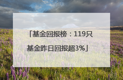 基金回报榜：119只基金昨日回报超3%