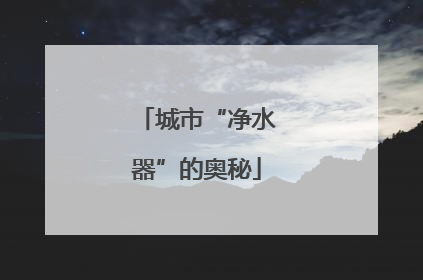 城市“净水器”的奥秘