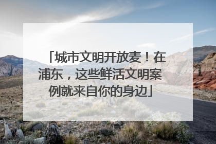 城市文明开放麦！在浦东，这些鲜活文明案例就来自你的身边