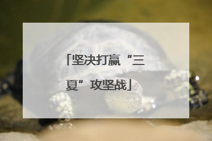 坚决打赢“三夏”攻坚战