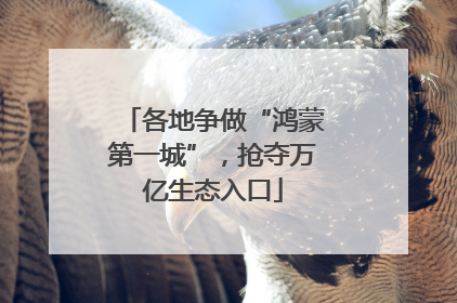 各地争做“鸿蒙第一城”，抢夺万亿生态入口