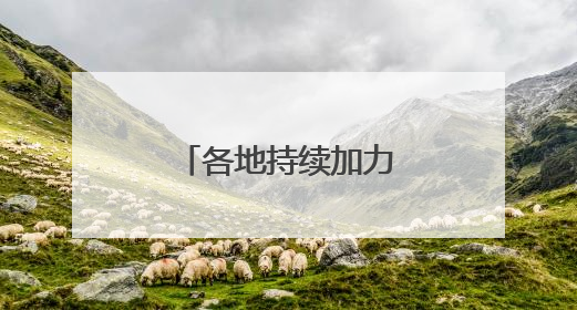 各地持续加力“两新”政策 释放消费潜力