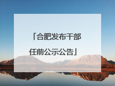 合肥发布干部任前公示公告