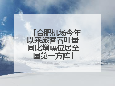 合肥机场今年以来旅客吞吐量同比增幅位居全国第一方阵