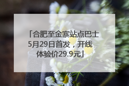 合肥至金寨站点巴士5月29日首发，开线体验价29.9元
