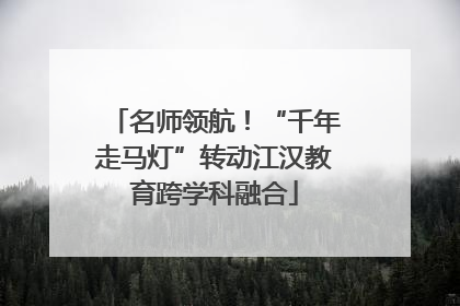 名师领航！“千年走马灯”转动江汉教育跨学科融合