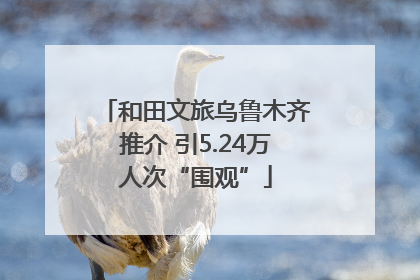 和田文旅乌鲁木齐推介 引5.24万人次“围观”