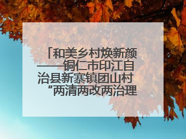 和美乡村焕新颜——铜仁市印江自治县新寨镇团山村“两清两改两治理”见闻