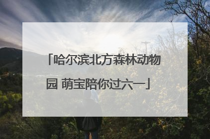 哈尔滨北方森林动物园 萌宝陪你过六一