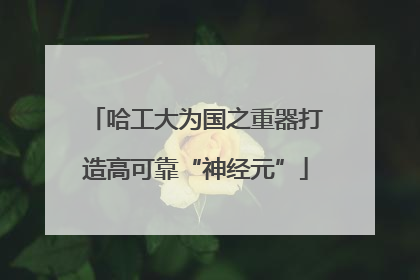 哈工大为国之重器打造高可靠“神经元”