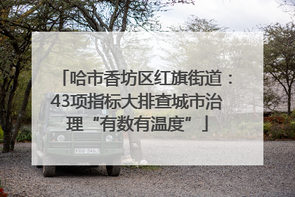 哈市香坊区红旗街道：43项指标大排查城市治理“有数有温度”