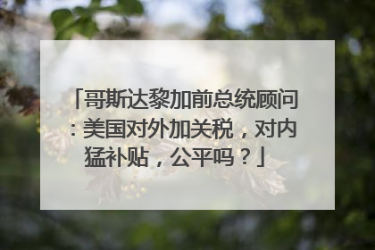 哥斯达黎加前总统顾问：美国对外加关税，对内猛补贴，公平吗？