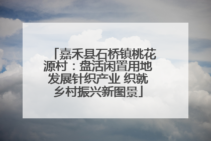 嘉禾县石桥镇桃花源村：盘活闲置用地发展针织产业 织就乡村振兴新图景