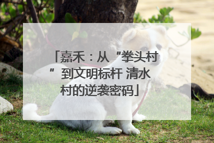 嘉禾：从“拳头村”到文明标杆 清水村的逆袭密码