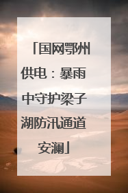 国网鄂州供电：暴雨中守护梁子湖防汛通道安澜