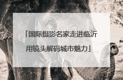 国际摄影名家走进临沂 用镜头解码城市魅力