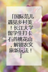 国际范儿遇见乡村美！长江大学留学生打卡石首桃花山，解锁农文旅新玩法！