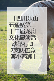 四川乐山五通桥第二十二届龙舟文化展演活动举行 32支队伍竞渡小西湖