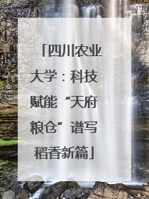 四川农业大学：科技赋能“天府粮仓”谱写稻香新篇
