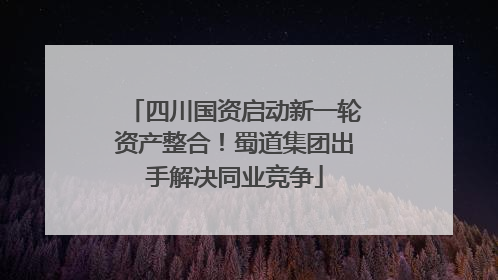 四川国资启动新一轮资产整合！蜀道集团出手解决同业竞争