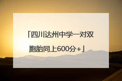 四川达州中学一对双胞胎同上600分+