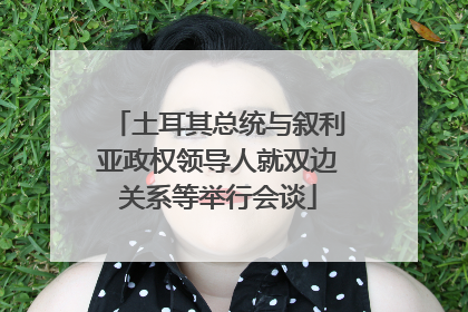 土耳其总统与叙利亚政权领导人就双边关系等举行会谈