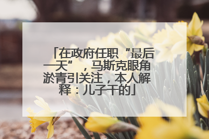 在政府任职“最后一天”，马斯克眼角淤青引关注，本人解释：儿子干的