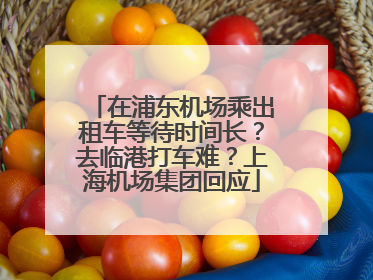 在浦东机场乘出租车等待时间长？去临港打车难？上海机场集团回应