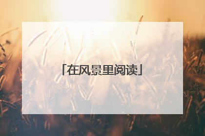 在风景里阅读