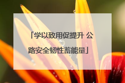 学以致用促提升 公路安全韧性蓄能量